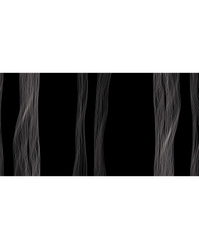 Tapet cu design modern si minimalist, cu linii subtiri argintii pe fundal negru.