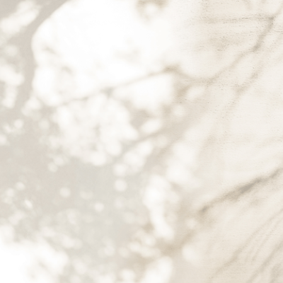 Tapet cu design minimalist, cu umbre delicate ale ramurilor.