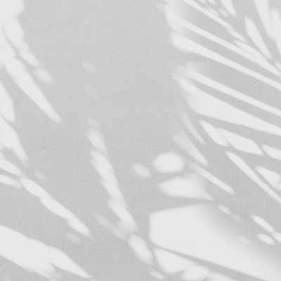 Fototapet cu design minimalist cu umbre delicate ale frunzelor de palmier