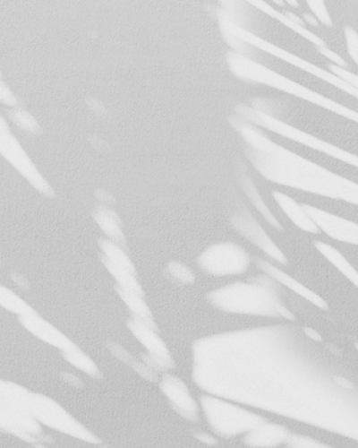 Fototapet cu design minimalist cu umbre delicate ale frunzelor de palmier