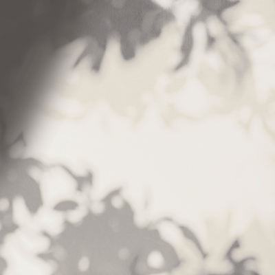 Wallpaper modern cu designul "Murk Nightfall" cu umbre subtile ale frunzelor