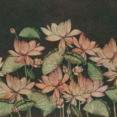 Tapet cu flori de lotus Soil Textures MY1.03.2 - YO2 Design
