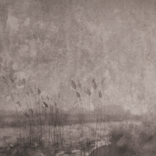 Wallpaper modern cu stil industrial autentic. Design cu un aspect de beton brut si flori delicate.
