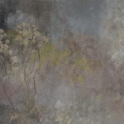 Soil Textures SOT1.01.1 - YO2 design
