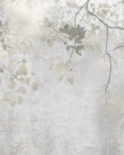 Tapet modern cu design de crengi si frunze, Stage Sets STS1.04.1 - YO2 design.