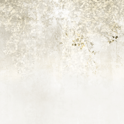 Fototapet cu un design minimalist, cu o ramură de flori albe pe un fundal alb.