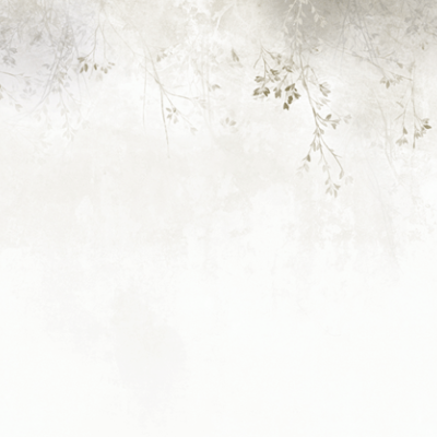 Wallpaper minimalist cu ramuri delicate de culoare gri