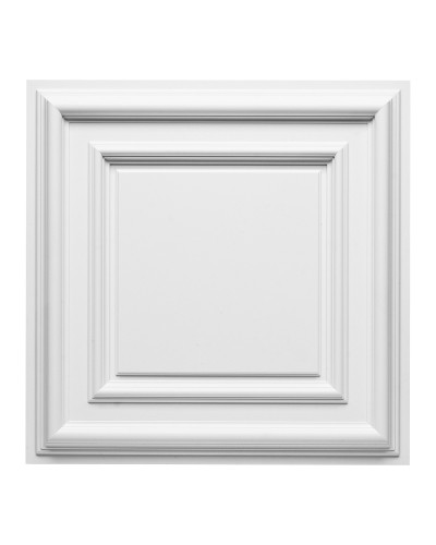 Ornament decorativ tavan