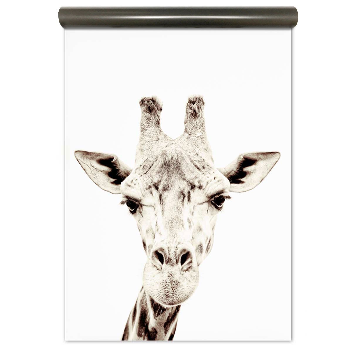 Tapet magnetic - Girafa - 62X265 cm