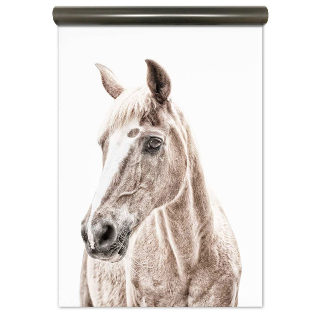 Tapet magnetic cu imaginea unui cal
