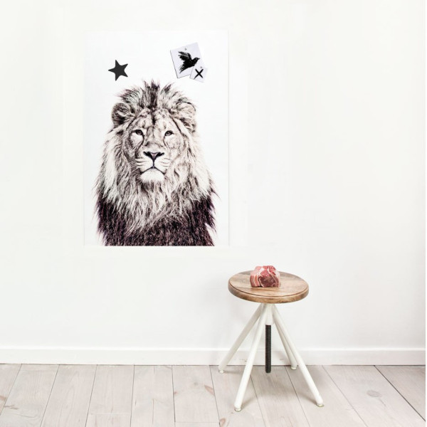 magnetic - Leu - 62X265 cm