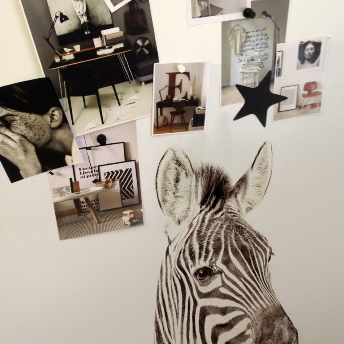 Tapet magnetic - Zebra - 102X265 cm