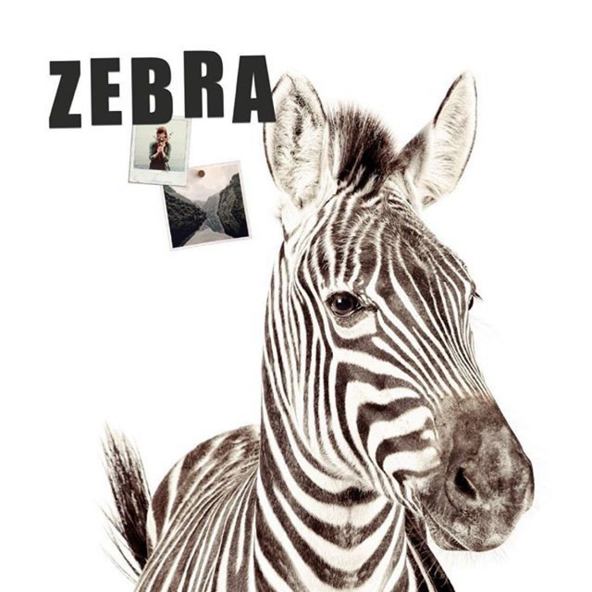 Tapet magnetic - Zebra - 102X265 cm,  