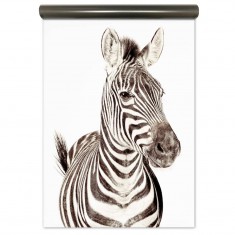 Tapet magnetic - Zebra - 62X265 cm
