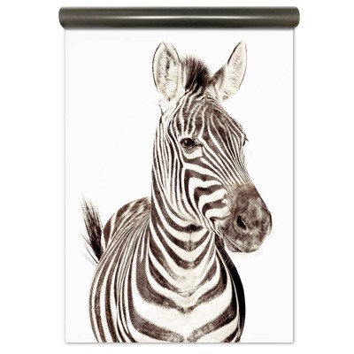 Tapet magnetic - Zebra - 102X265 cm,  