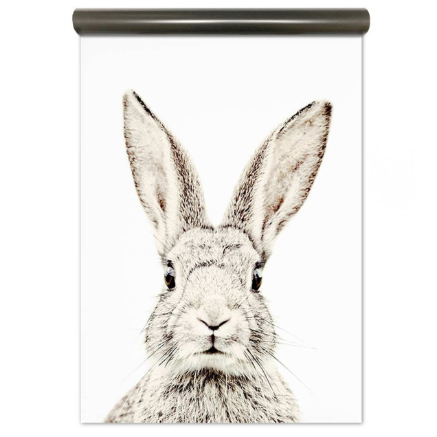 Tapet magnetic cu un iepure drăguț, perfect pentru a decora bucătăria, dormitorul sau camera copiilor.