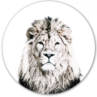 Sticker magnetic cu leu, 60cm