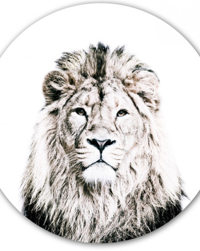 Sticker magnetic cu leu, 60cm
