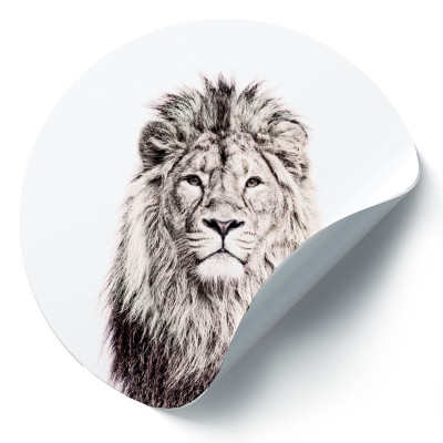 Sticker magnetic cu leu, 60cm
