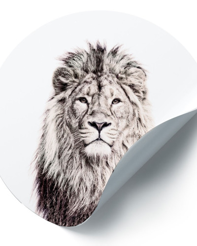Sticker magnetic cu leu, 60cm