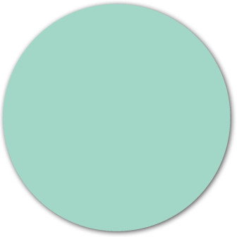 Sticker magnetic rotund, mentă, 60cm