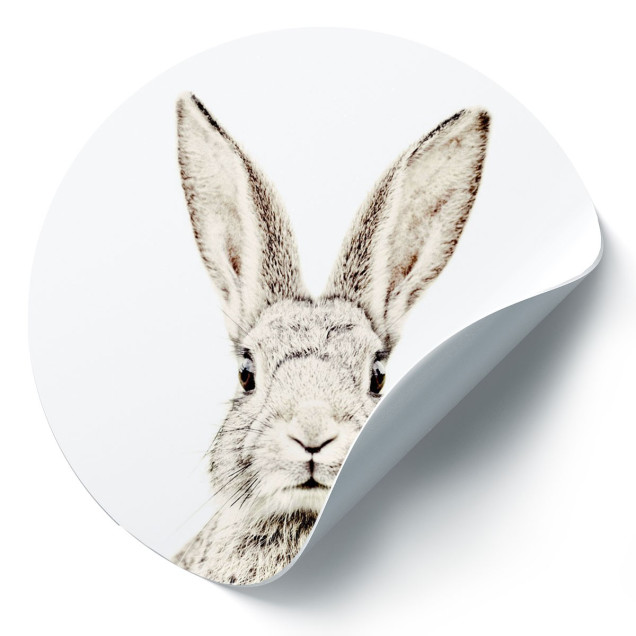 Sticker magnetic decorativ cu iepure