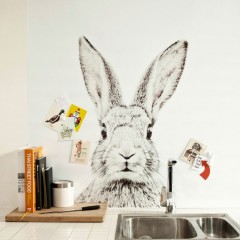 Tapet magnetic - Iepure - 62X265 cm