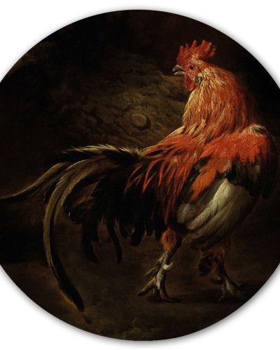 Sticker magnetic, King of the yard, 60cm