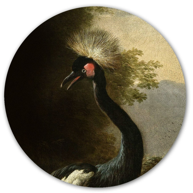 Sticker magnetic decorativ cu o macara majestuoasă