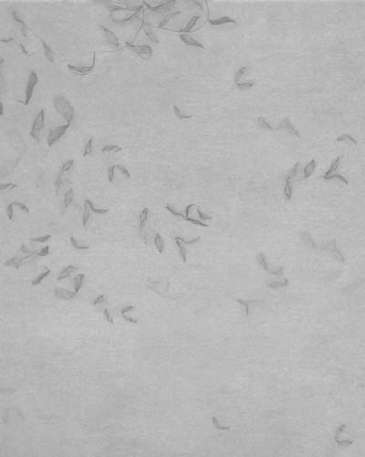Tapet lavabil Leaves Reflection, Gri, Coordonne