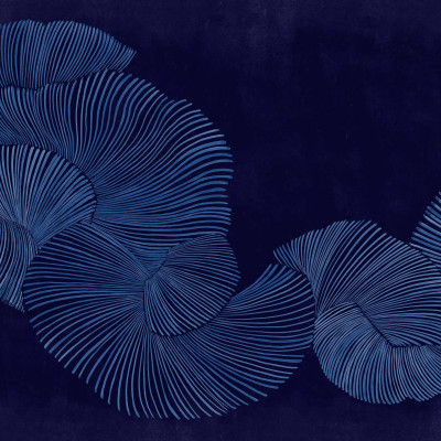 Tapet lavabil cu design abstract, linii fine si curbe elegante, in nuante de indigo. Ideal pentru living, dormitor, birou sau hol.