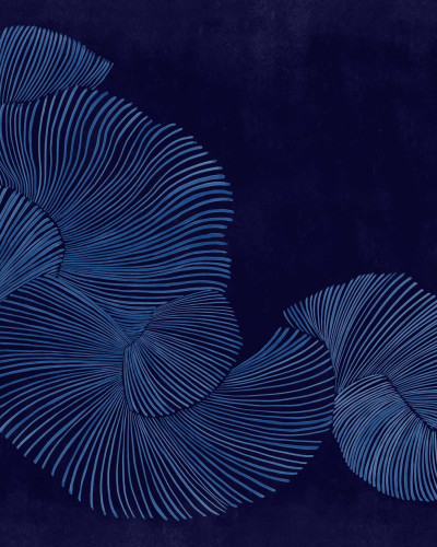 Tapet lavabil cu design abstract, linii fine si curbe elegante, in nuante de indigo. Ideal pentru living, dormitor, birou sau hol.