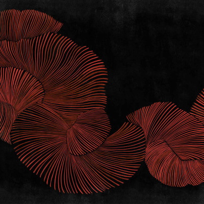 Tapet Diving Moment, Red, Coordonne