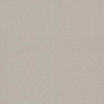 Tapet lavabil Cocoon Pewter