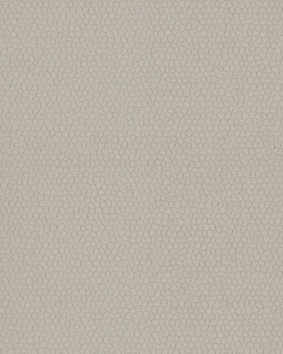 Tapet lavabil Cocoon Pewter