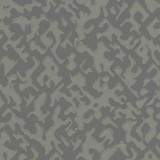 Painting Slate, 6454827, Coordonne