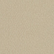 Iguana Sand, 6454839, Coordonne