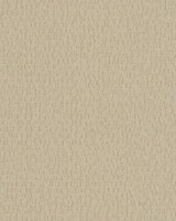 Iguana Sand, 6454839, Coordonne
