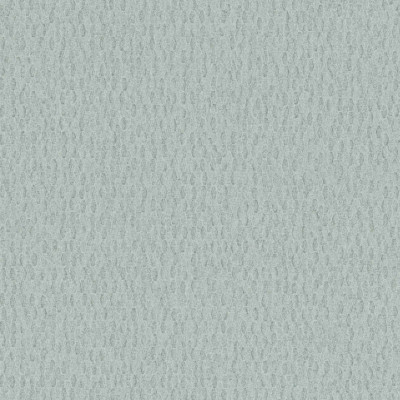 Model de  Iguana Acqueus 6454847 cu design subtil și textură discretă