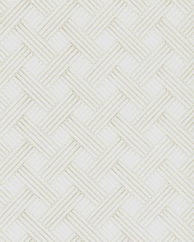 Tapet lavabil cu model geometric elegant, cu linii fine intersectate.