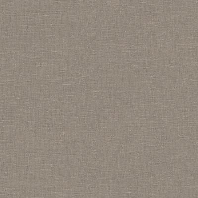 Tapet lavabil cu textură fină de canvas, perfect pentru un design minimalist.
