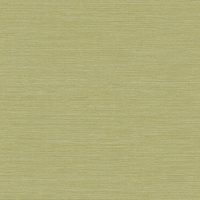 Tapet lavabil Rafia Pop, cu design modern cu linii subtile