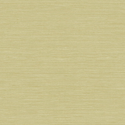 Tapet lavabil Rafia Pop 64735454, Coordonne - design discret cu linii fine