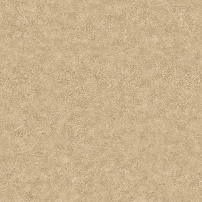 Tapet lavabil Elephant Leather 64735605
