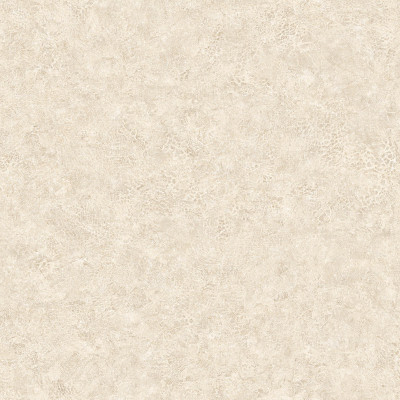 Elephant Leather, 64735615, Coordonne