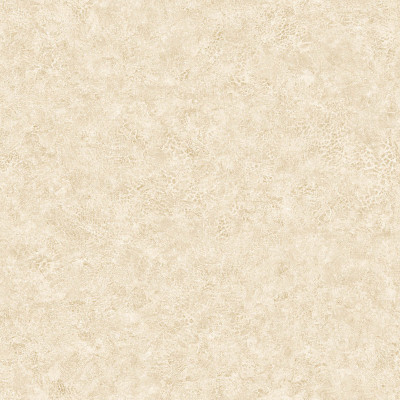 Elephant Leather, 64735625, Coordonne