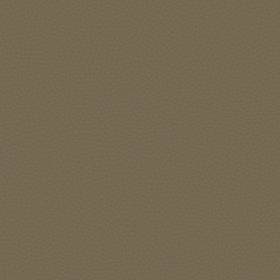 Tapet lavabil Chic Leather, cu aspect de piele
