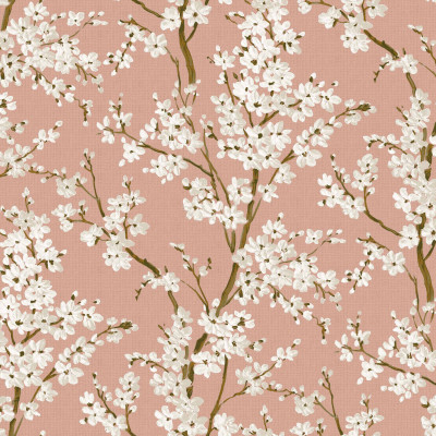 Tapet Cherry Blossom, Rose cu flori delicate de cireș înflorite pe un fundal roz pal.