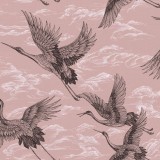 Imperial Ibis, Rose, Coordonne 5mp / rola