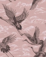 Imperial Ibis, Rose, Coordonne 5mp / rola